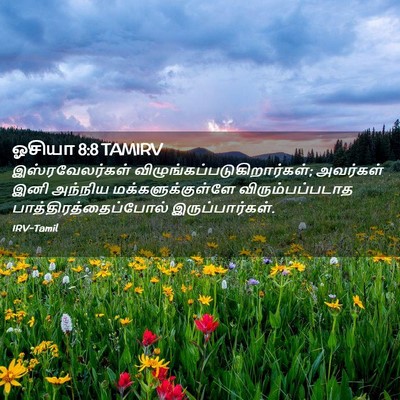Picture 02 - ஓசியா 8:8 TAMIRV - இஸ்ரவேலர்கள் - Bible Verse Picture