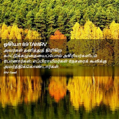 Picture 02 - ஓசியா 8:9 TAMIRV - அவர்கள் தனித்துத் - Bible Verse Picture