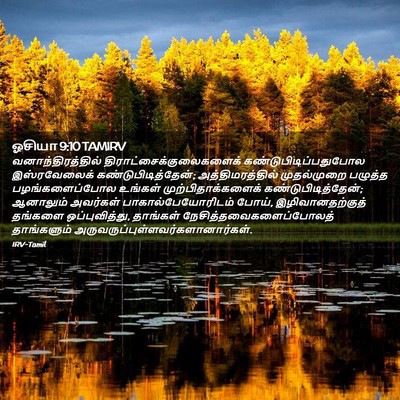 Picture 02 - ஓசியா 9:10 TAMIRV - வனாந்திரத்தில் - Bible Verse Picture