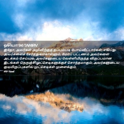 Picture 02 - ஓசியா 9:6 TAMIRV - இதோ, அவர்கள் - Bible Verse Picture