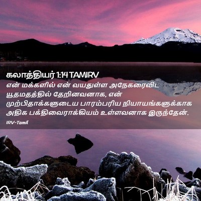 Picture 02 - கலாத்தியர் 1:14 TAMIRV - என் மக்களில் என் - Bible Verse Picture