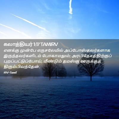 Picture 02 - கலாத்தியர் 1:17 TAMIRV - எனக்கு முன்பே - Bible Verse Picture