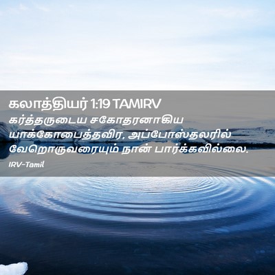 Picture 02 - கலாத்தியர் 1:19 TAMIRV - கர்த்தருடைய - Bible Verse Picture