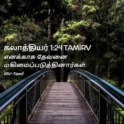 Picture 02 - கலாத்தியர் 1:24 TAMIRV - எனக்காக தேவனை - Bible Verse Picture