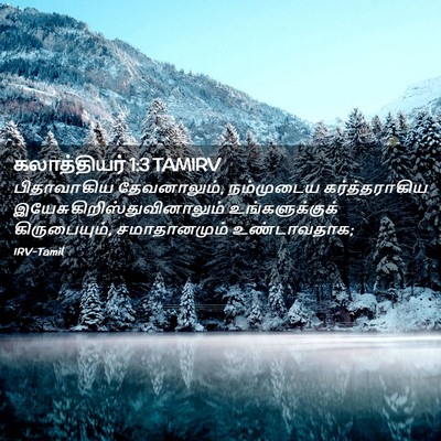 Picture 02 - கலாத்தியர் 1:3 TAMIRV - பிதாவாகிய - Bible Verse Picture