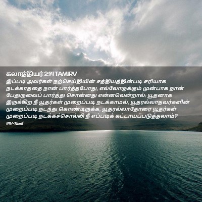 Picture 02 - கலாத்தியர் 2:14 TAMIRV - இப்படி அவர்கள் - Bible Verse Picture