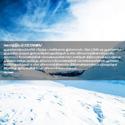 Picture 02 - கலாத்தியர் 2:15 TAMIRV -  - Bible Verse Picture