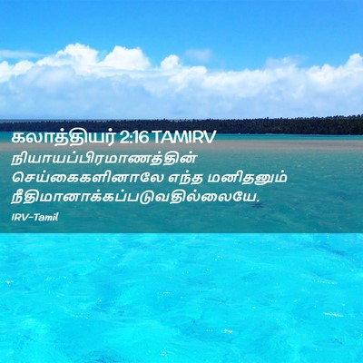 Picture 02 - கலாத்தியர் 2:16 TAMIRV -  - Bible Verse Picture