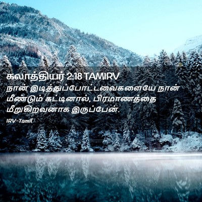 Picture 02 - கலாத்தியர் 2:18 TAMIRV - நான் - Bible Verse Picture