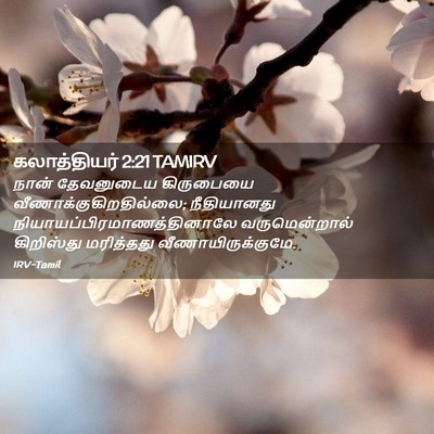 Picture 02 - கலாத்தியர் 2:21 TAMIRV - நான் தேவனுடைய - Bible Verse Picture