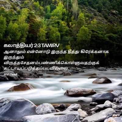 Picture 02 - கலாத்தியர் 2:3 TAMIRV - ஆனாலும் என்னோடு - Bible Verse Picture