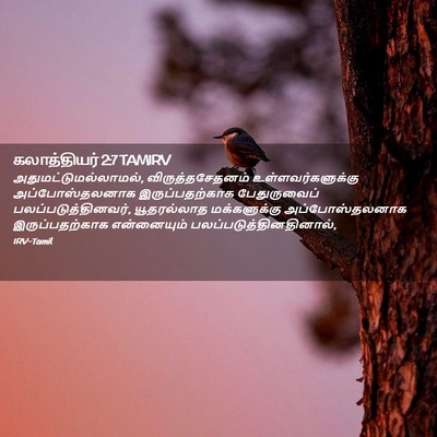 Picture 02 - கலாத்தியர் 2:7 TAMIRV - அதுமட்டுமல்லாமல், - Bible Verse Picture