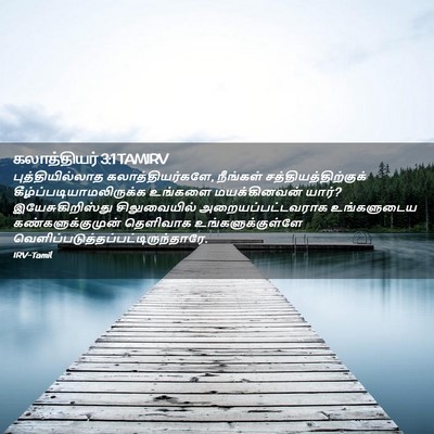 Picture 02 - கலாத்தியர் 3:1 TAMIRV - புத்தியில்லாத - Bible Verse Picture
