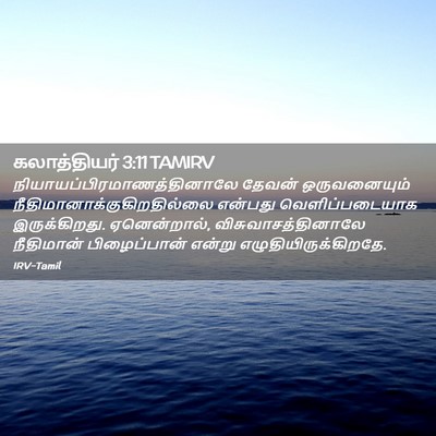 Picture 02 - கலாத்தியர் 3:11 TAMIRV -  - Bible Verse Picture