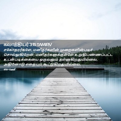 Picture 02 - கலாத்தியர் 3:15 TAMIRV - சகோதரர்களே, - Bible Verse Picture