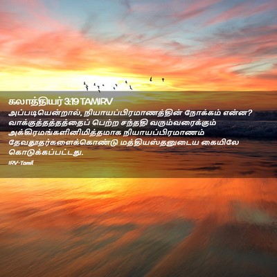Picture 02 - கலாத்தியர் 3:19 TAMIRV - அப்படியென்றால், - Bible Verse Picture