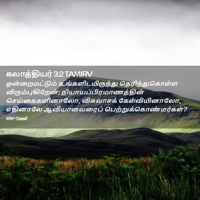Picture 02 - கலாத்தியர் 3:2 TAMIRV - ஒன்றைமட்டும் - Bible Verse Picture