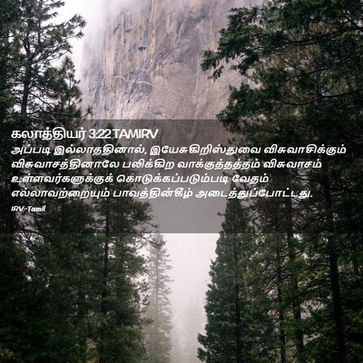 Picture 02 - கலாத்தியர் 3:22 TAMIRV - அப்படி - Bible Verse Picture