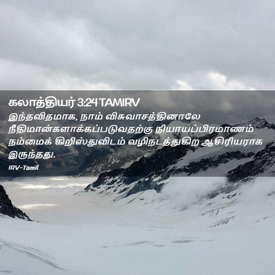 Picture 02 - கலாத்தியர் 3:24 TAMIRV - இந்தவிதமாக, நாம் - Bible Verse Picture