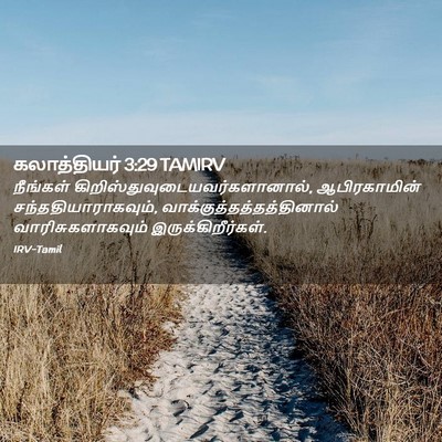 Picture 02 - கலாத்தியர் 3:29 TAMIRV - நீங்கள் - Bible Verse Picture