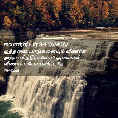 Picture 02 - கலாத்தியர் 3:4 TAMIRV - இத்தனை - Bible Verse Picture