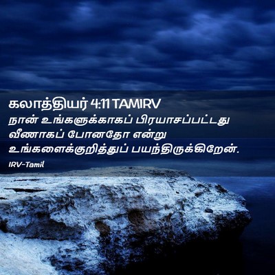 Picture 02 - கலாத்தியர் 4:11 TAMIRV - நான் - Bible Verse Picture