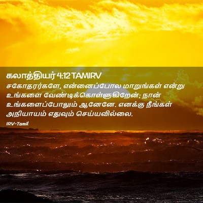 Picture 02 - கலாத்தியர் 4:12 TAMIRV - சகோதரர்களே, - Bible Verse Picture