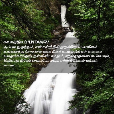 Picture 02 - கலாத்தியர் 4:14 TAMIRV - அப்படி இருந்தும், - Bible Verse Picture