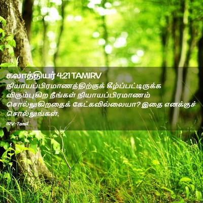 Picture 02 - கலாத்தியர் 4:21 TAMIRV -  - Bible Verse Picture