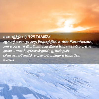Picture 02 - கலாத்தியர் 4:25 TAMIRV - ஆகார் என்பது - Bible Verse Picture