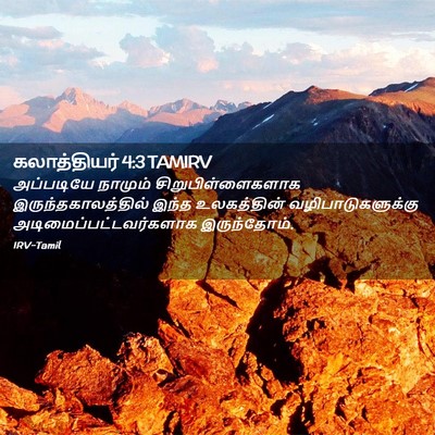 Picture 02 - கலாத்தியர் 4:3 TAMIRV - அப்படியே நாமும் - Bible Verse Picture