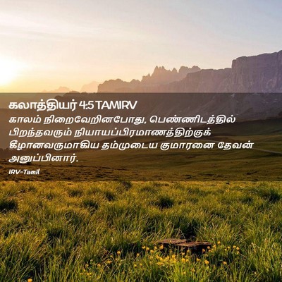 Picture 02 - கலாத்தியர் 4:5 TAMIRV - காலம் - Bible Verse Picture