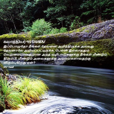 Picture 02 - கலாத்தியர் 4:9 TAMIRV - இப்பொழுதோ நீங்கள் - Bible Verse Picture