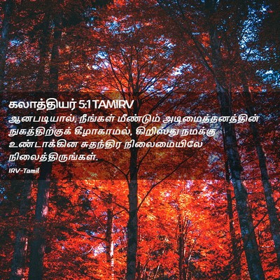 Picture 02 - கலாத்தியர் 5:1 TAMIRV - ஆனபடியால், - Bible Verse Picture