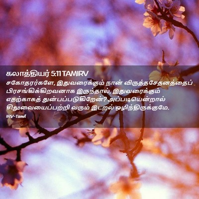 Picture 02 - கலாத்தியர் 5:11 TAMIRV - சகோதரர்களே, - Bible Verse Picture