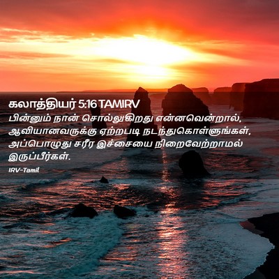 Picture 02 - கலாத்தியர் 5:16 TAMIRV - பின்னும் நான் - Bible Verse Picture