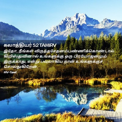 Picture 02 - கலாத்தியர் 5:2 TAMIRV - இதோ, நீங்கள் - Bible Verse Picture