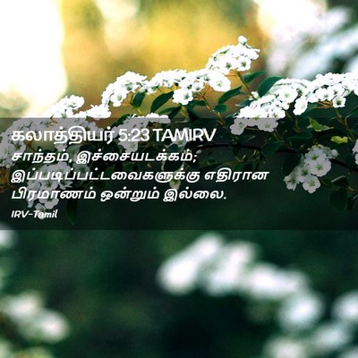 Picture 02 - கலாத்தியர் 5:23 TAMIRV - சாந்தம், - Bible Verse Picture