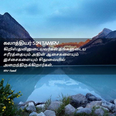 Picture 02 - கலாத்தியர் 5:24 TAMIRV -  - Bible Verse Picture