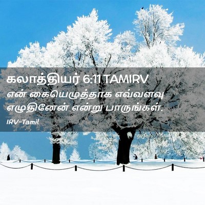 Picture 02 - கலாத்தியர் 6:11 TAMIRV - என் கையெழுத்தாக - Bible Verse Picture