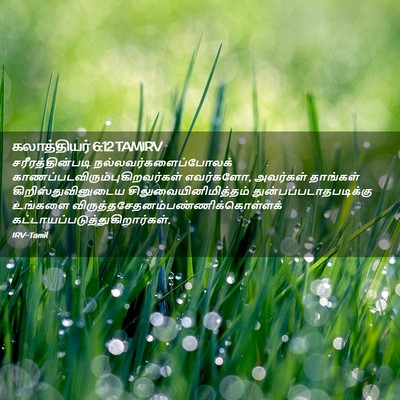 Picture 02 - கலாத்தியர் 6:12 TAMIRV - சரீரத்தின்படி - Bible Verse Picture