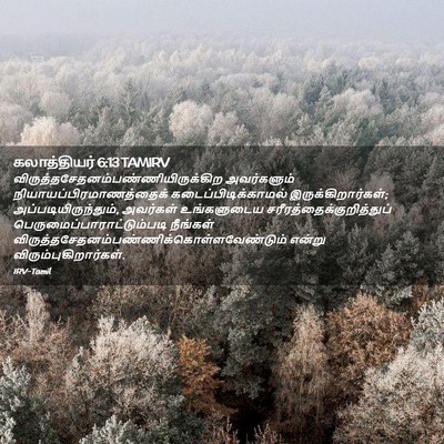Picture 02 - கலாத்தியர் 6:13 TAMIRV -  - Bible Verse Picture