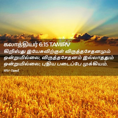 Picture 02 - கலாத்தியர் 6:15 TAMIRV - கிறிஸ்து - Bible Verse Picture