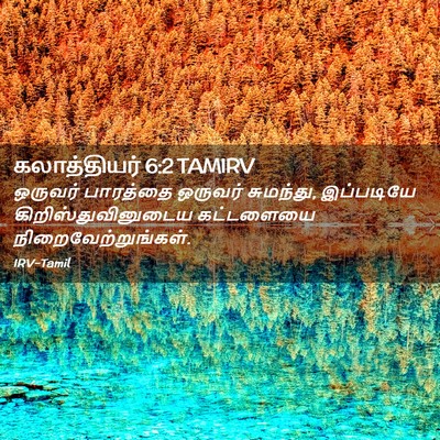Picture 02 - கலாத்தியர் 6:2 TAMIRV - ஒருவர் பாரத்தை - Bible Verse Picture