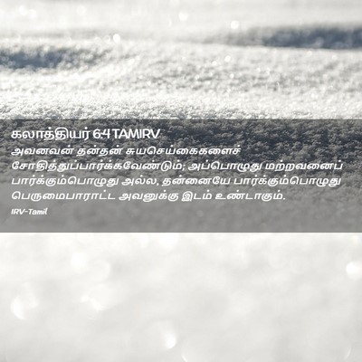 Picture 02 - கலாத்தியர் 6:4 TAMIRV - அவனவன் தன்தன் - Bible Verse Picture