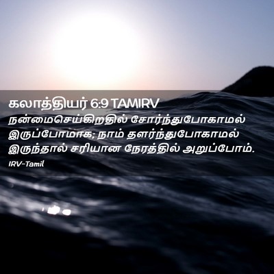 Picture 02 - கலாத்தியர் 6:9 TAMIRV - நன்மைசெய்கிறதில் - Bible Verse Picture