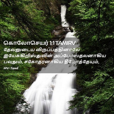 Picture 02 - கொலோசெயர் 1:1 TAMIRV - தேவனுடைய - Bible Verse Picture