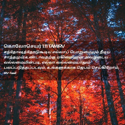 Picture 02 - கொலோசெயர் 1:11 TAMIRV -  - Bible Verse Picture