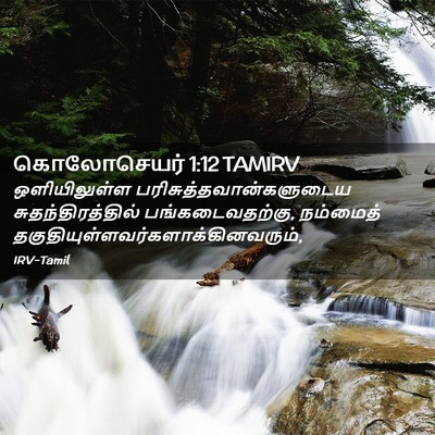 Picture 02 - கொலோசெயர் 1:12 TAMIRV - ஒளியிலுள்ள - Bible Verse Picture