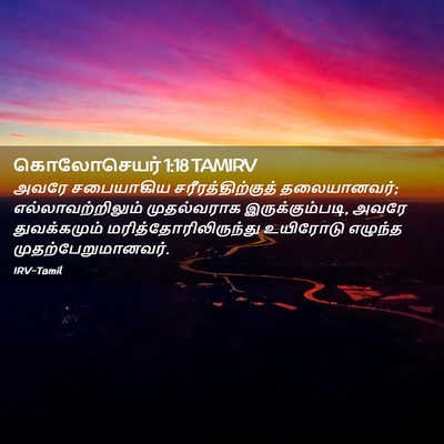 Picture 02 - கொலோசெயர் 1:18 TAMIRV - அவரே சபையாகிய - Bible Verse Picture